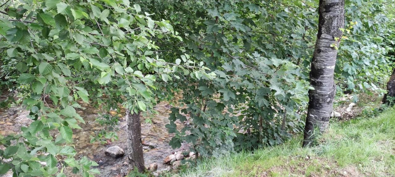 Apartmani Vuk 1 Kolašin Екстериор снимка
